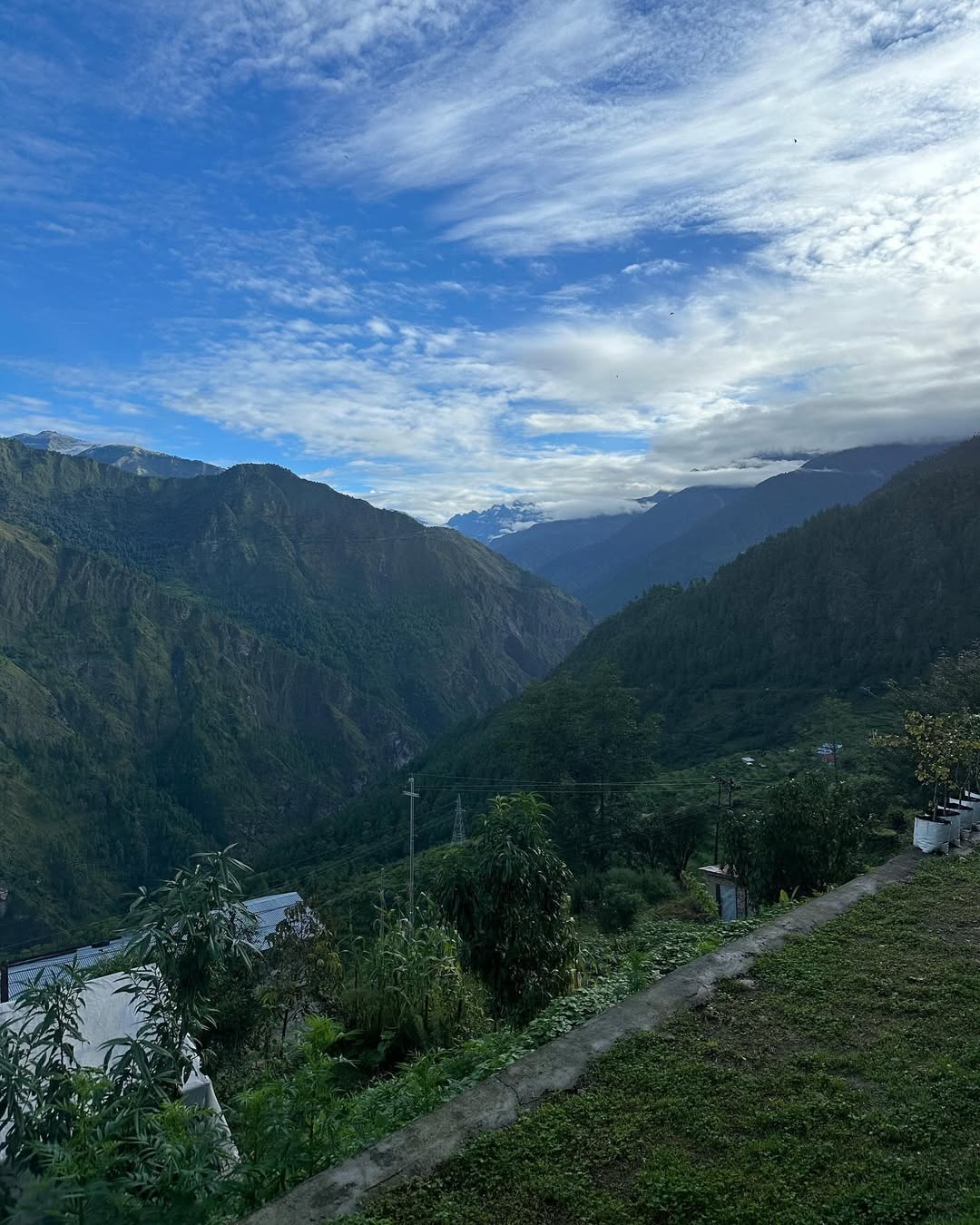 A serene, sun-drenched eco-friendly suite